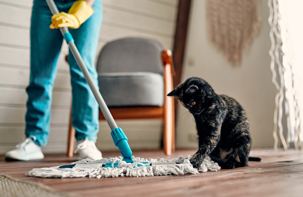 Cleaning the house